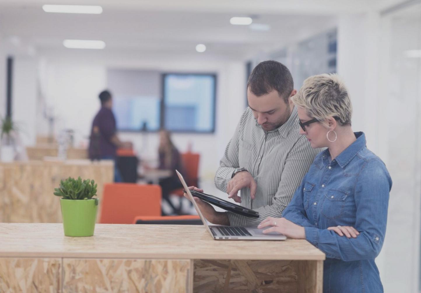 Sesión de capacitación sobre técnicas presupuestarias adaptativas